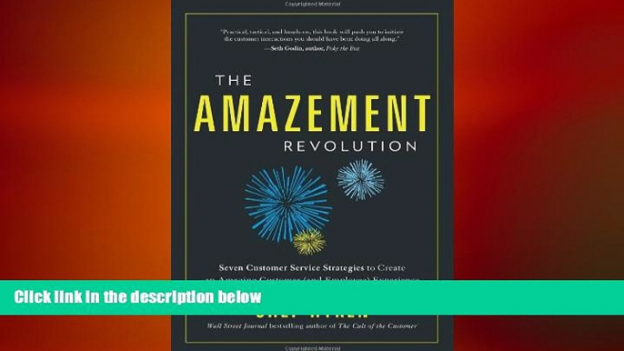 FREE DOWNLOAD  The Amazement Revolution: Seven Customer Service Strategies to Create an Amazing