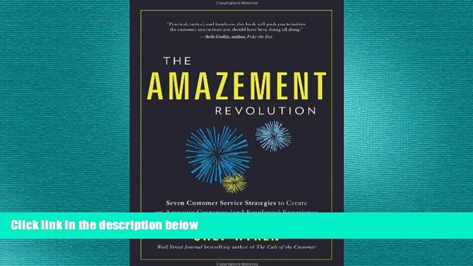 READ book  The Amazement Revolution: Seven Customer Service Strategies to Create an Amazing