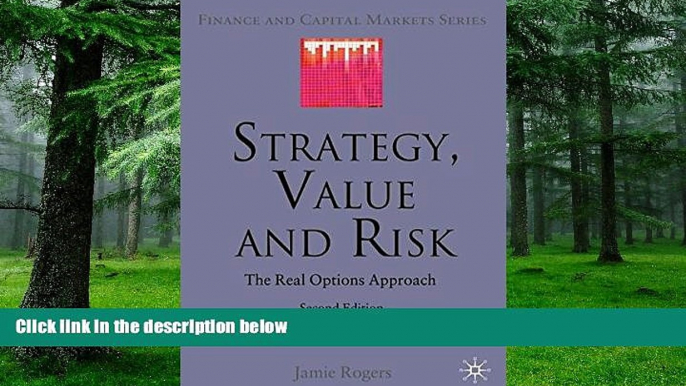 Big Deals  Strategy, Value and Risk: The Real Options Approach (Finance and Capital Markets