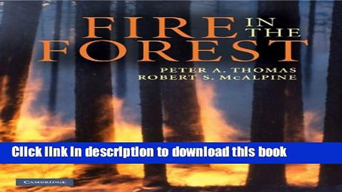 Read Fire in the Forest  Ebook Free