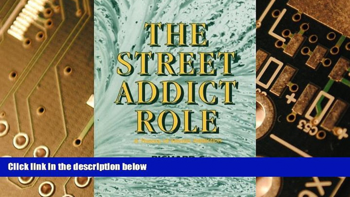 Big Deals  The Street Addict Role: A Theory of Heroin Addiction (SUNY Series, the New