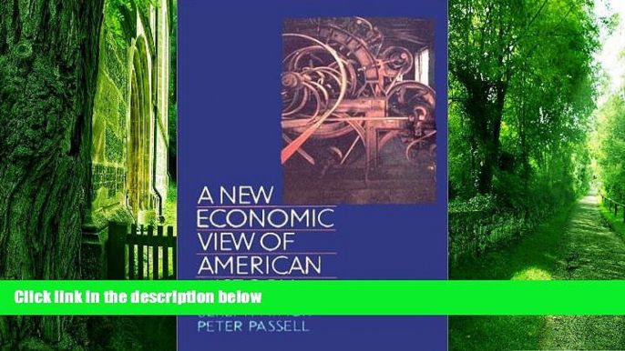 Big Deals  A New Economic View of American History: From Colonial Times to 1940 (Second Edition)