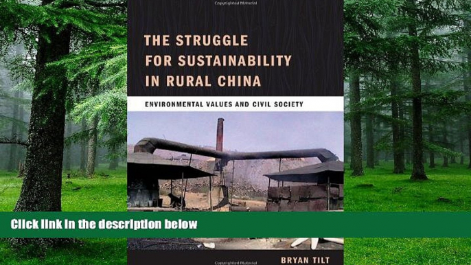 Big Deals  The Struggle for Sustainability in Rural China: Environmental Values and Civil Society