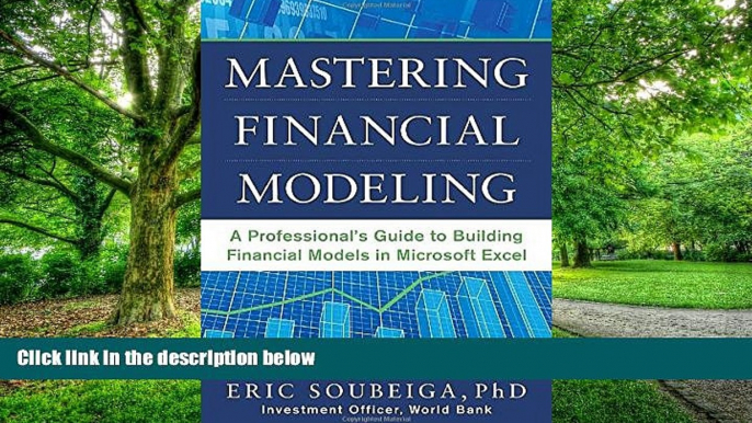 Big Deals  Mastering Financial Modeling: A Professional s Guide to Building Financial Models in