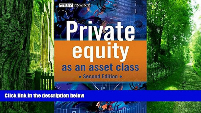 Big Deals  Private Equity as an Asset Class  Free Full Read Best Seller