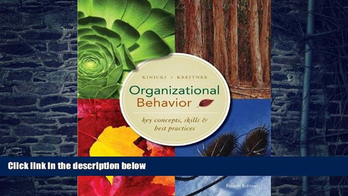 Big Deals  Organizational Behavior:  Key Concepts, Skills   Best Practices  Best Seller Books Best