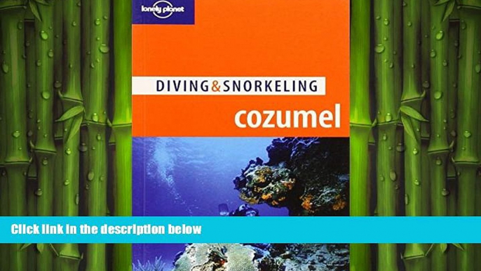 FREE PDF  Lonely Planet Diving   Snorkeling Cozumel (Lonely Planet Diving and Snorkeling Guides)