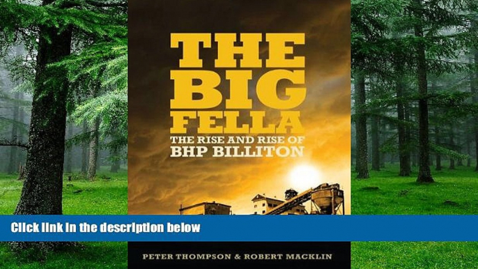 Big Deals  The Big Fella: The Rise and Rise of BHP Billiton  Best Seller Books Most Wanted