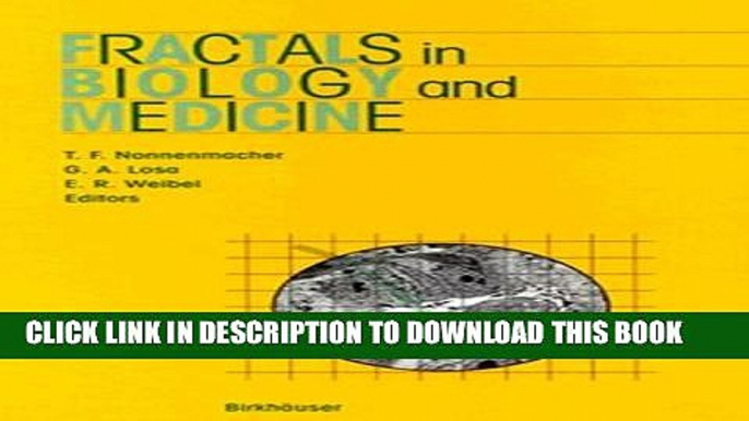 New Book Fractals in Biology   Medicine