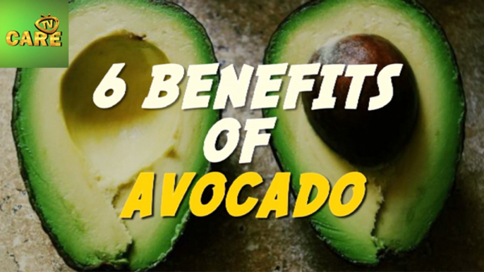 6 Benefits Of Avocado | Care Tv