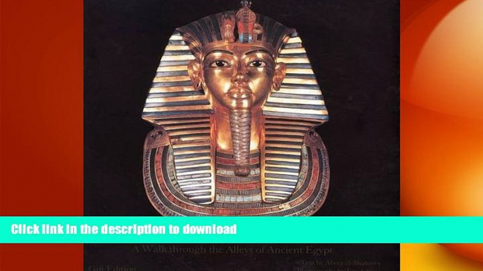 FAVORIT BOOK Egyptian Museum In Cairo: A Walk Though the Alleys of Ancient Egypt READ EBOOK