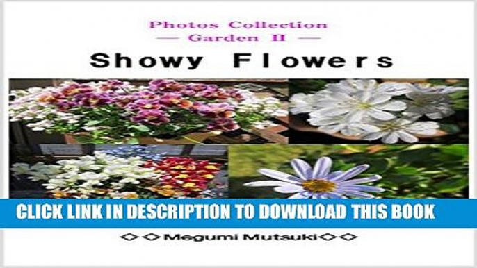 [New] Photos Collection _ Garden 2_ã€€Showy  Flowers Exclusive Online