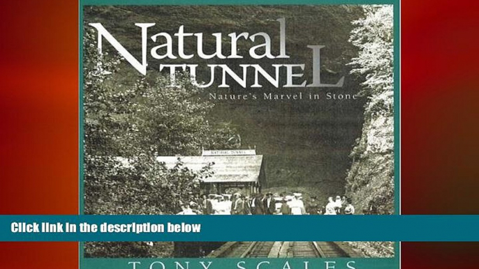 Free [PDF] Downlaod  Natural Tunnel: Nature s Marvel in Stone  DOWNLOAD ONLINE