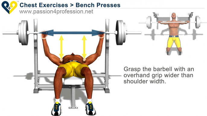 Chest Exercises׃ Bench Press[1]