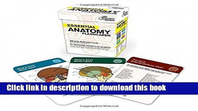 Read Essential Anatomy Flashcards (Graduate School Test Preparation)  Ebook Free