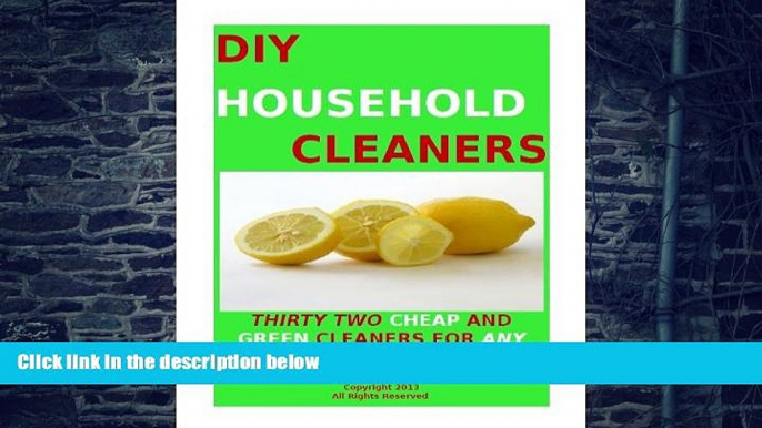 Big Deals  DIY HOUSEHOLD CLEANING PRODUCTS-THIRTY TWO CHEAP "GREEN" CLEANERS FOR ANY PROJECT  Best