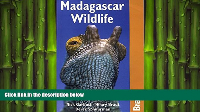 READ book  Madagascar Wildlife 3rd (Bradt Travel Guide Madagascar Wildlife)  BOOK ONLINE