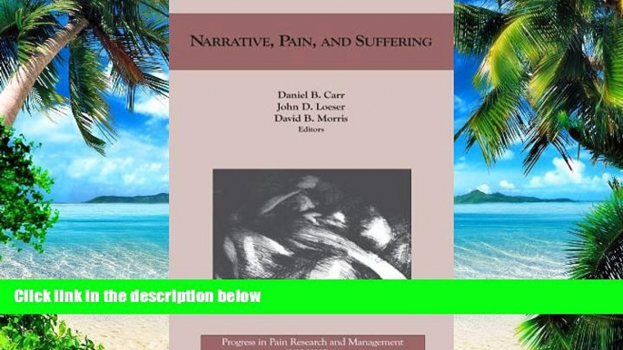 Big Deals  Narrative, Pain And Suffering (Progress in Pain Research and Management, Volume 34)