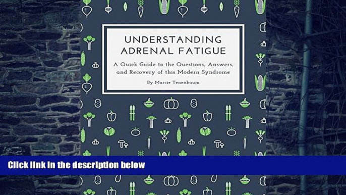 Big Deals  Understanding Adrenal Fatigue: A Quick Guide to the Questions, Answers, and Recovery of