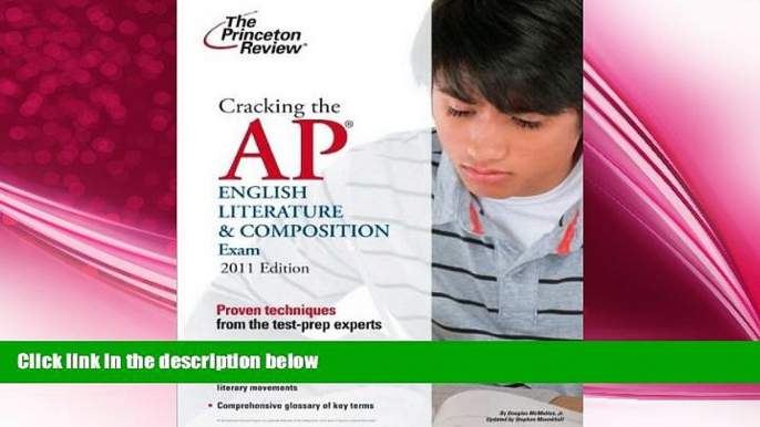 there is  Cracking the AP English Literature   Composition Exam (text only) by Princeton Review