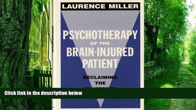 Big Deals  Psychotherapy of the Brain-Injured Patient: Reclaiming the Shattered Self (Norton