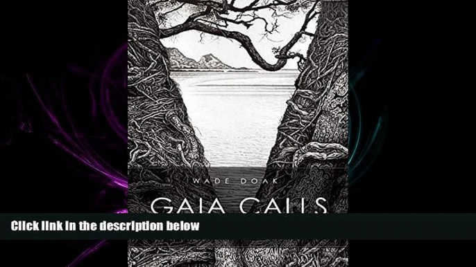 behold  Gaia Calls: South Sea Voices, Dolphins, Sharks   Rainforests