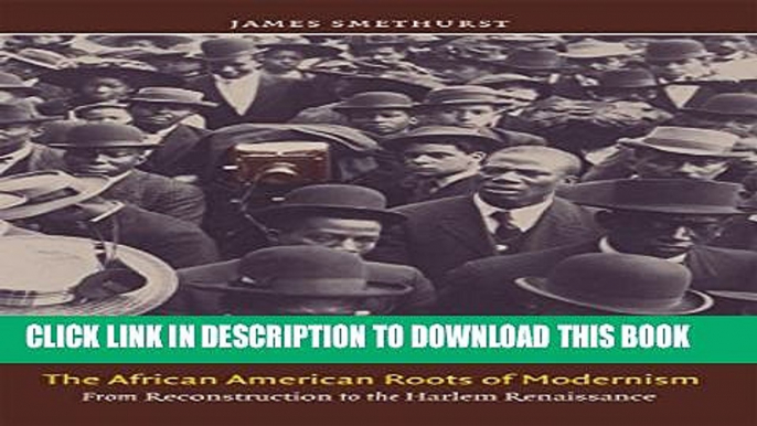 [PDF] The African American Roots of Modernism: From Reconstruction to the Harlem Renaissance (The