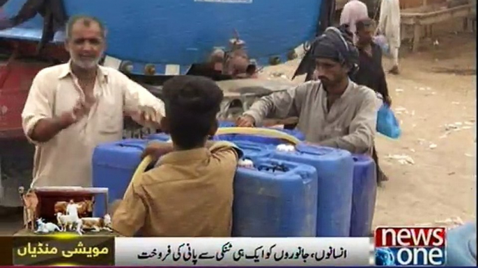 No clean drinking water for buyers in Karachi cattle market