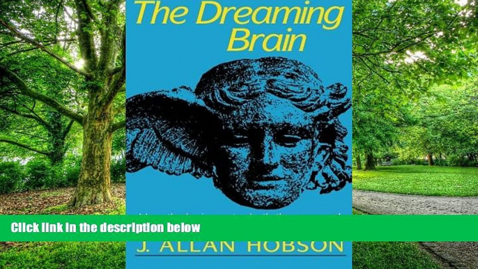 Big Deals  The Dreaming Brain  Free Full Read Most Wanted