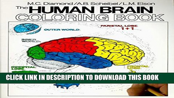 [PDF] The Human Brain Coloring Book (Cos, 306) Popular Colection