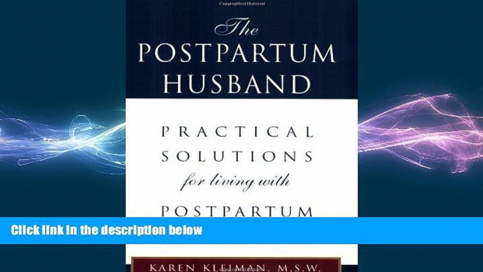 Must Have PDF  The Postpartum Husband: Practical Solutions for living with Postpartum Depression