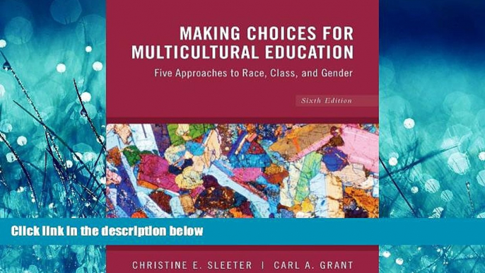 Choose Book Making Choices for Multicultural Education: Five Approaches to Race, Class and Gender