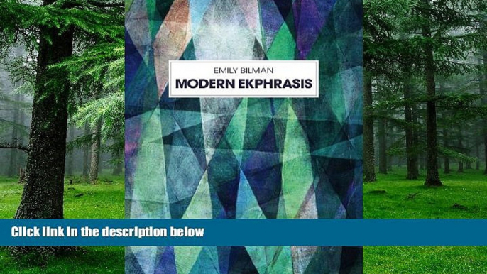 Big Deals  Modern Ekphrasis  Free Full Read Best Seller