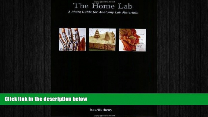 different   The Home Lab: A Photo Guide for Anatomy Lab Materials