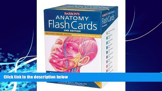 Big Deals  Barron s Anatomy Flash Cards, 2nd Edition  Best Seller Books Most Wanted