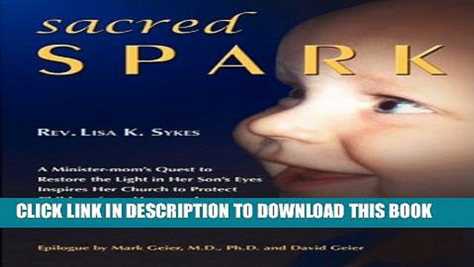 Sacred Spark Hardcover