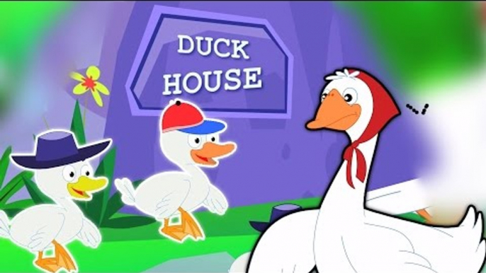 cinq petits canards | Cartoon pour les enfants | Compilation | Popular Comptine | Five Litte Ducks