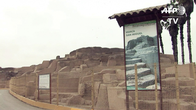 Cementerio prehispánico de perros y humanos bajo zoo en Perú