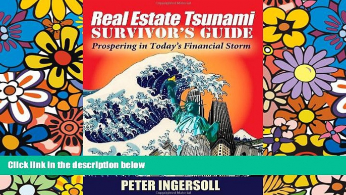 Big Deals  Real Estate Tsunami Survivor s Guide: Prospering in Today s Financial Storm  Best