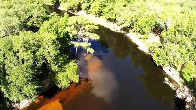 A beautiful river tract secluded along the Withlacoochee River in NE Madison County