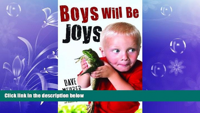 FAVORITE BOOK  Boys Will Be Joys