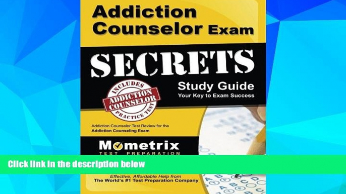 Big Deals  Addiction Counselor Exam Secrets Study Guide: Addiction Counselor Test Review for the