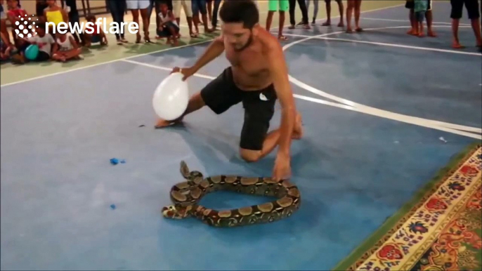 'Ninja of Serpents' performs live shows with snakes and spiders