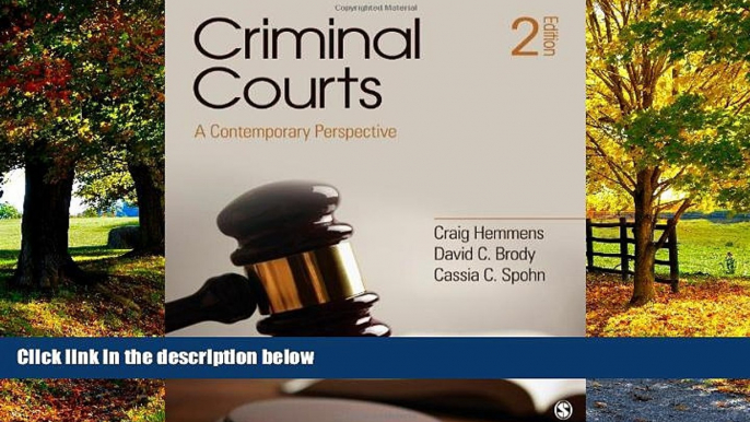 Big Deals  Criminal Courts: A Contemporary Perspective  Best Seller Books Best Seller