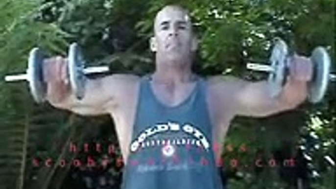 bodybuilding exercise  dumbbell side raise for shoulders