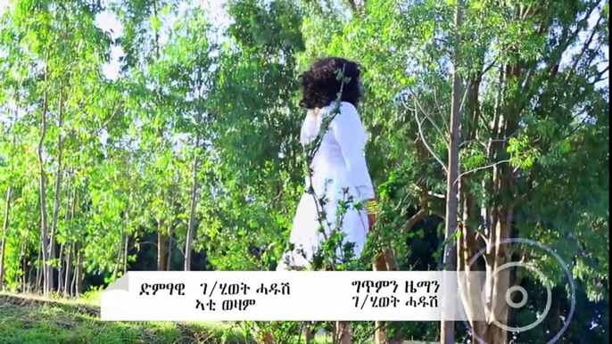 Gebrehiwet Hadush - Ati Wezam  New Ethiopian Tigrigna Music (Official Video)