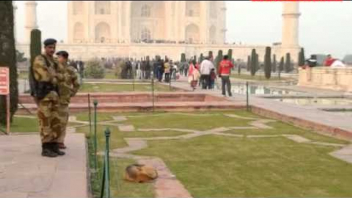 Beware of Dogs at Taj Mahal !
