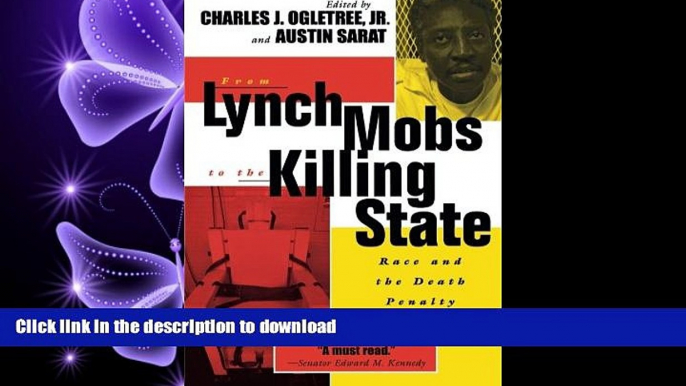 FAVORIT BOOK From Lynch Mobs to the Killing State: Race and the Death Penalty in America (The