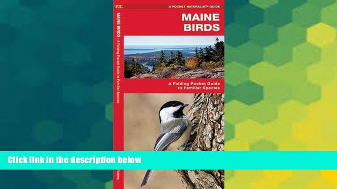 Big Deals  Maine Birds: A Folding Pocket Guide to Familiar Species (Pocket Naturalist Guide