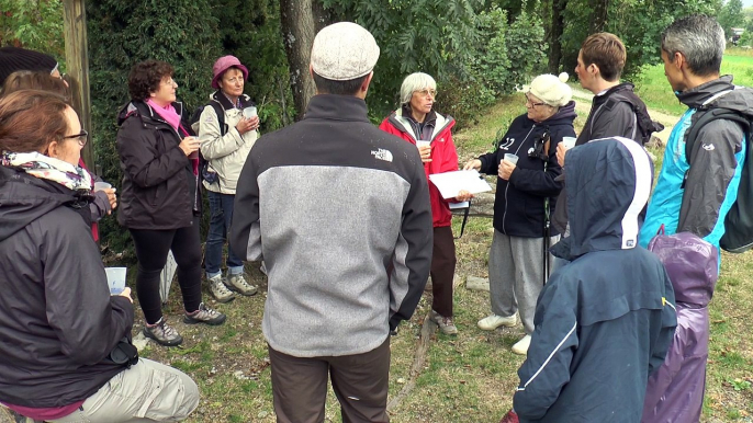 Hautes-Alpes : A Eygliers, on a recensé les marmottes